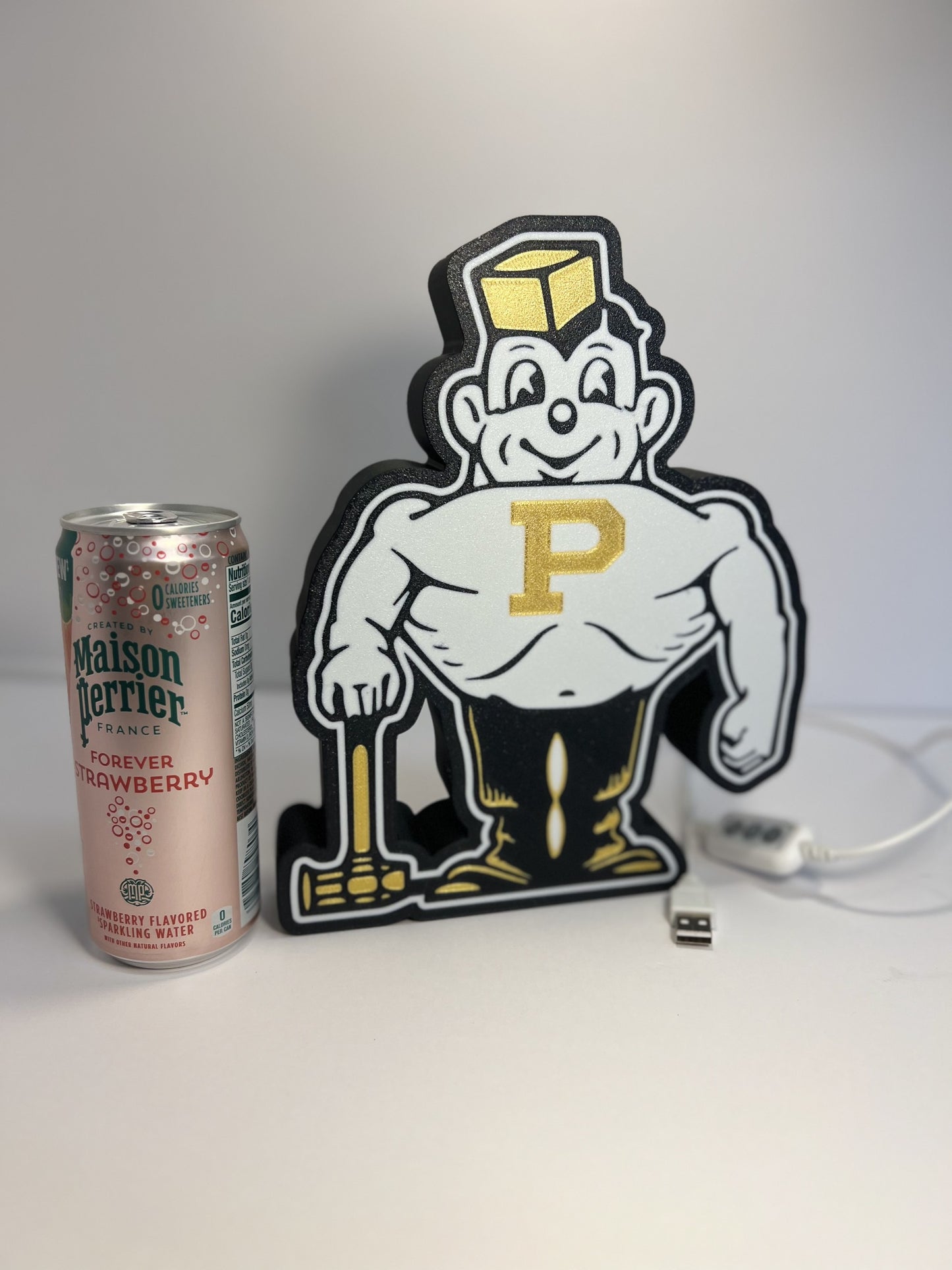 Vintage Purdue Pete 3D Printed Lighted Box!